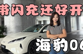 带闪充的2027款海豹06很好开