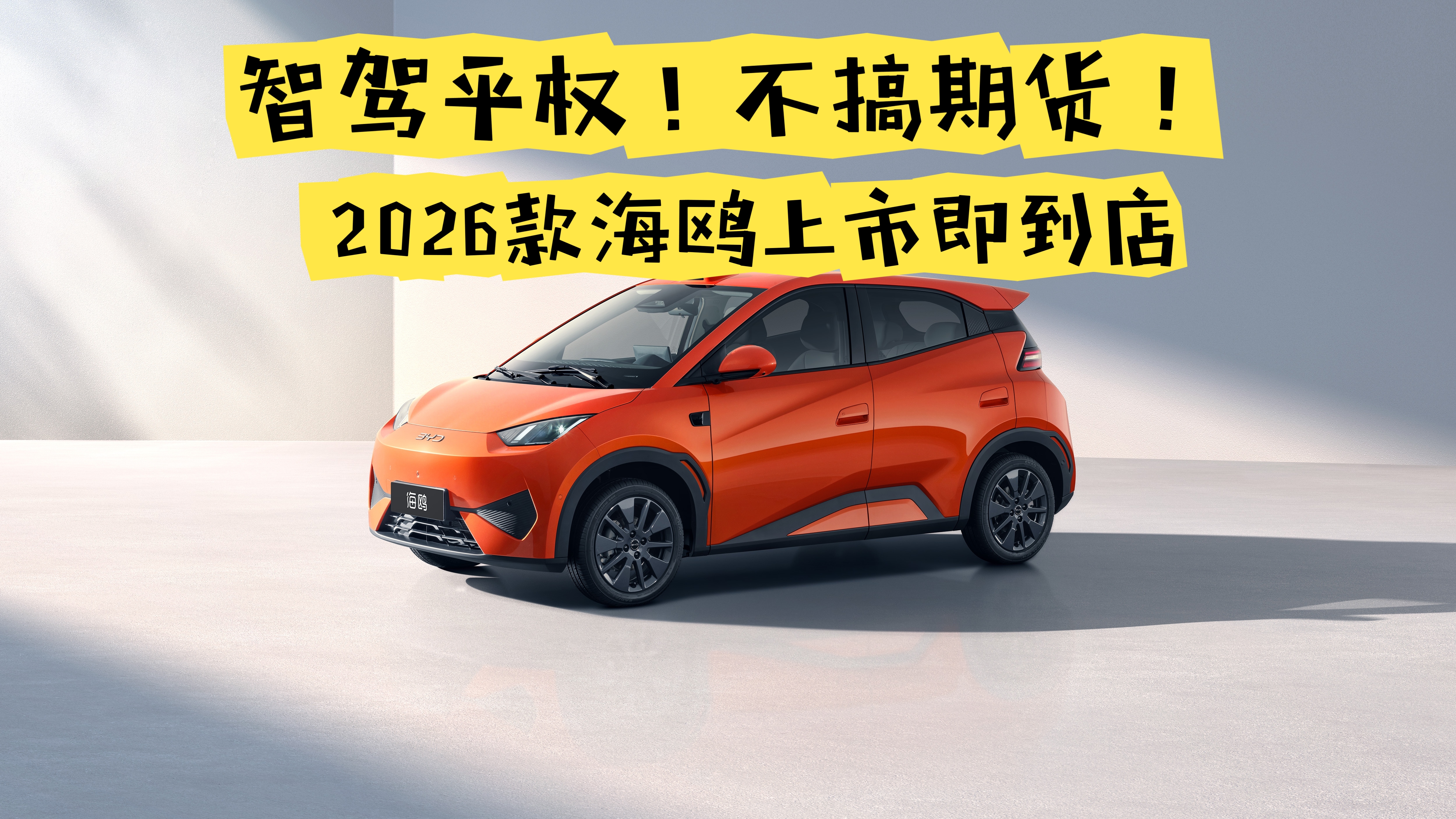 �Ǽ�ƽȨ�������ڻ���2026�Ÿ���м�����