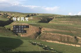 环游中国第14天：初入塞外青城——呼和浩特
