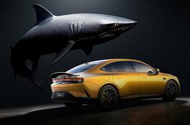 人生阶段进阶，smart始终陪伴用户出行需求