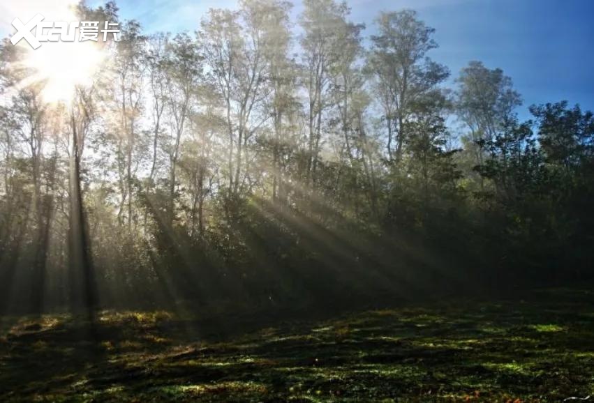 长安汽车的车内空气环境如何他们专门为丁达尔试验开了一堂课