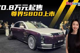 70.8万元起售，尊界S800上市，国产百万豪车谁在买？