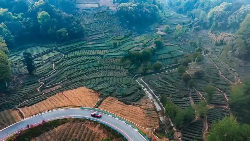 试完汉DM-i 我明白比亚迪停产燃油车的底气在哪了