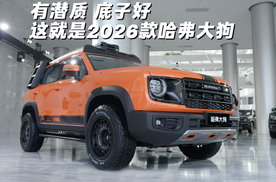 有潜质/底子好 这就是2026款哈弗大狗
