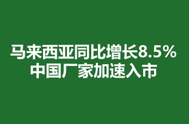 马来西亚同比增长8.5%，中国厂家加速入市