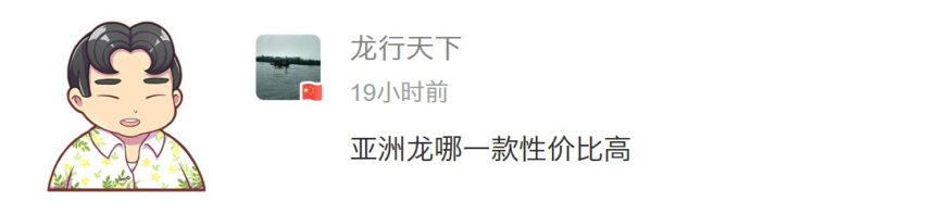 开了6年的3系想换SUV 途昂和奥迪Q5L咋选？