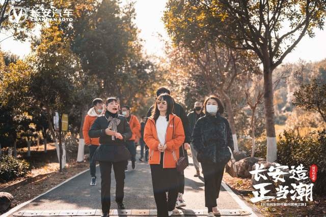 车在画中行，人在景中游，开着长安CS双雄寻梦徽州