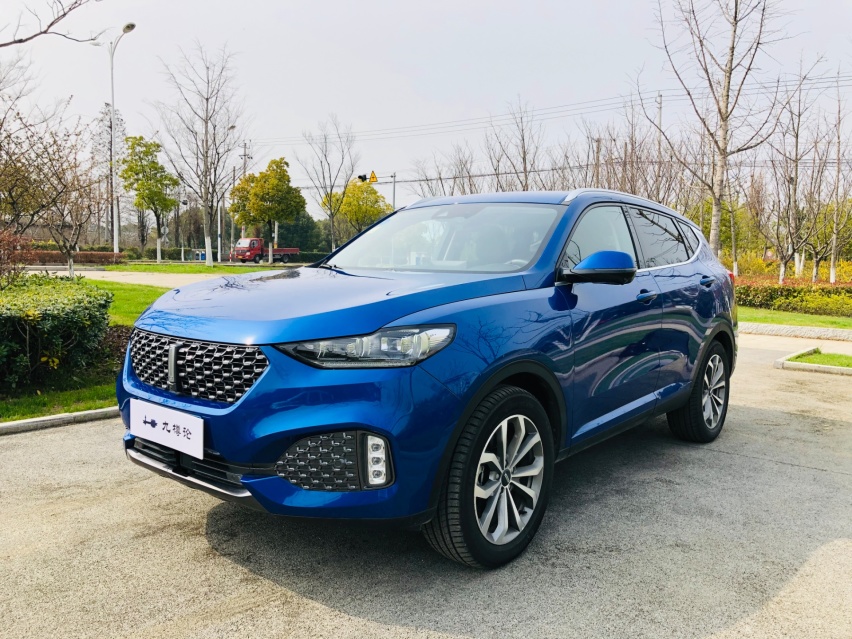 一辆把性价比融入到豪华感里的车，WEY VV6