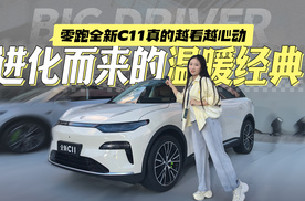 进化而来的温暖经典 零跑C11真的越看越心动