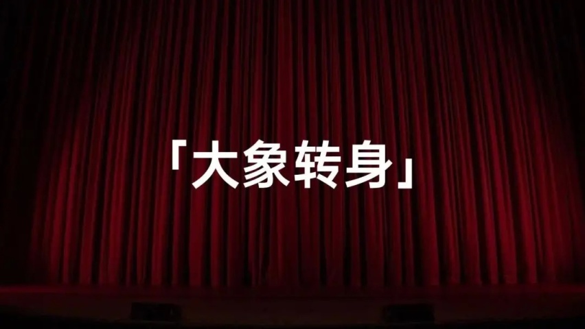 Trinity ——大众「大象转身」的毕业舞蹈