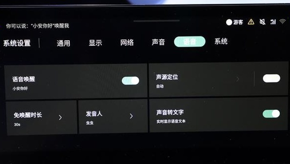 索尼音响放头枕上，这车的内饰了不得