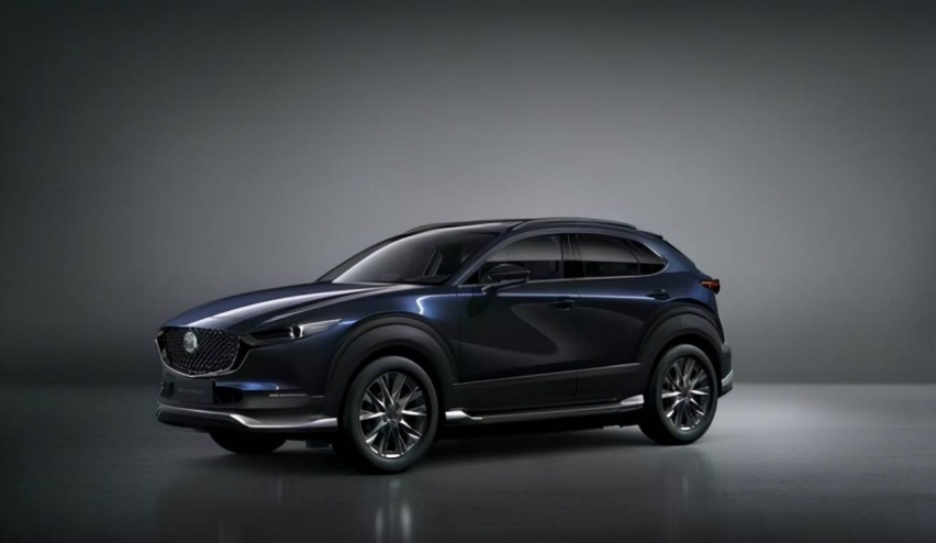20万级4款热门日系纯电SUV，为何我建议你买之前要三思？