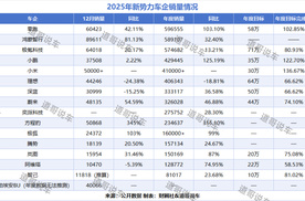 2025新势力车企：完成年度KPI的仅3家 方程豹单干也并无不可