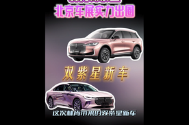 颜值与实力并存，林肯双紫星车展圈粉无数