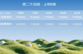 【E汽车】6.29万元起售，第二代海鸥更超值！
