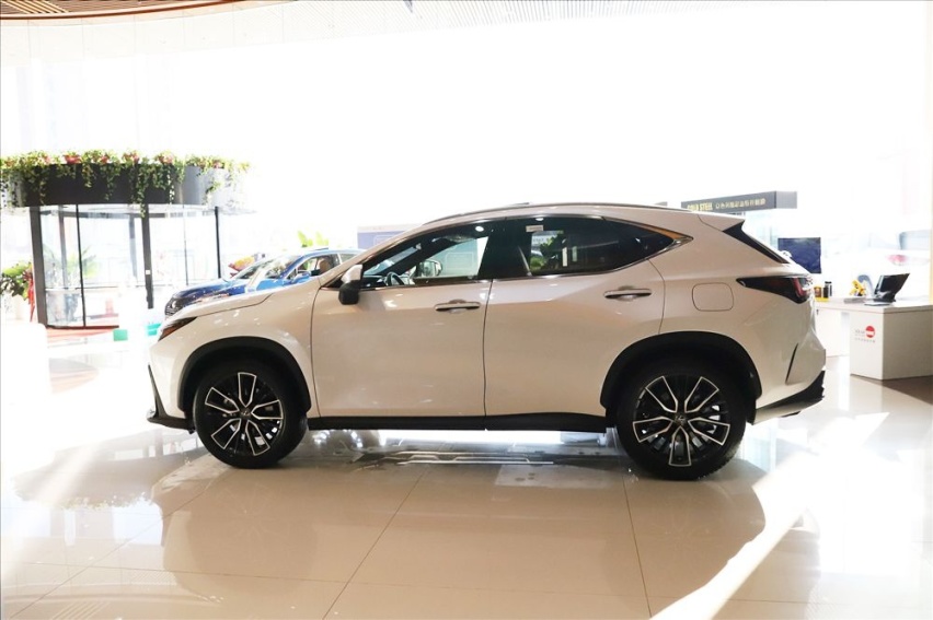中型豪华SUV 雷克萨斯全NX260长春已到店