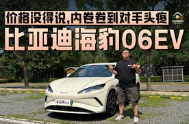 价格没得说，内卷卷到对手头疼，试驾比亚迪海豹06EV