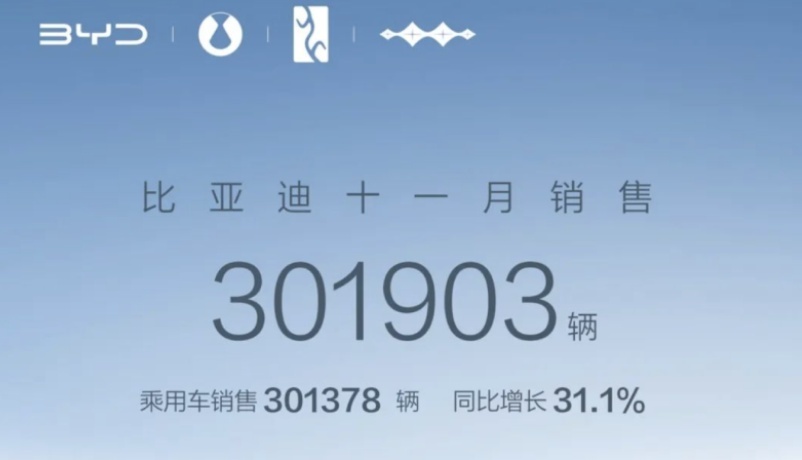 新西兰市长：比亚迪新能源随处可见，在我们当地也是热门车