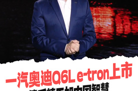 一汽奥迪Q6L e-tron上市，德系精工加中国智慧，李凤刚：高价值从来没有平替