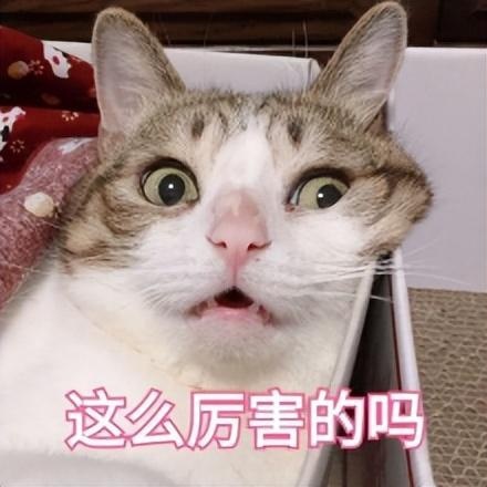 沃尔沃安全永不缺席！罗永浩给沃尔沃S90代言的原因找到了