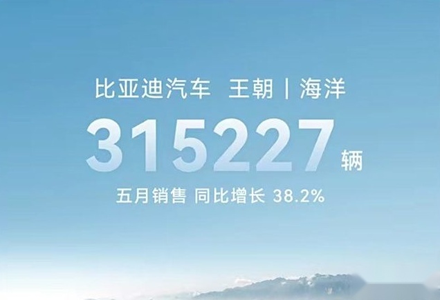 无敌是多么寂寞 比亚迪5月销售33万台 同比涨38%