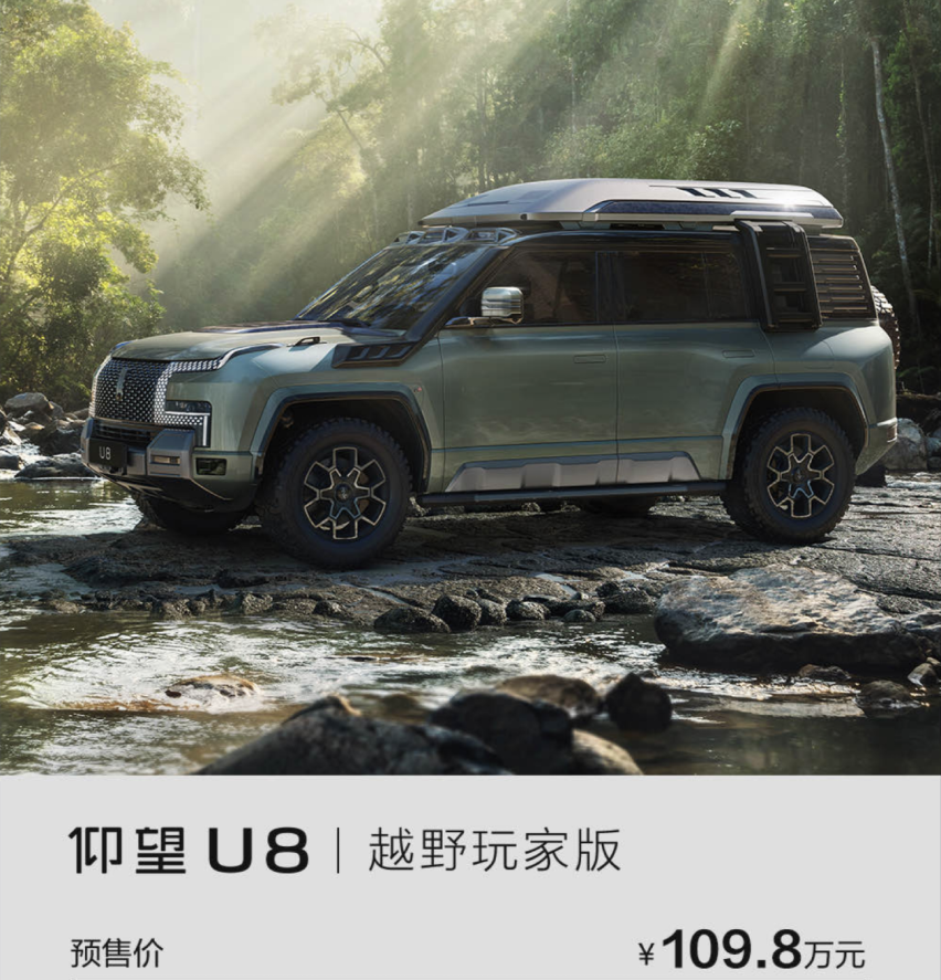 仰望U8车钥匙曝光，采用简单的椭圆造型