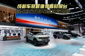 成都车展最值得看的展台 你要的方盒子车型尽收眼底