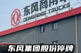 东风集团股份停牌，央企大动作今年加速落地