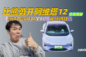 比熊高速 “飙车” 阿维塔，智驾与颜值齐飞