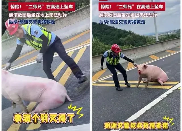 国庆高速危险名场面，说停就停的车、劈叉的二师兄……