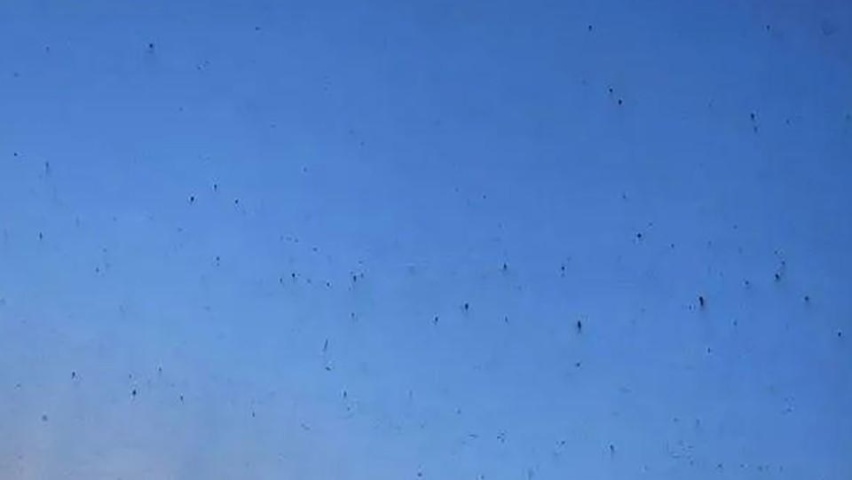 沿海不能买，特斯拉皮卡易生锈，这下更没法引入中国市场了？