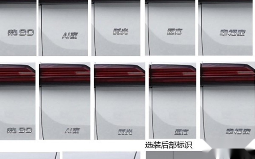 扛起新旗舰大旗？魏80定位中大型SUV，将于广州车展首发亮相