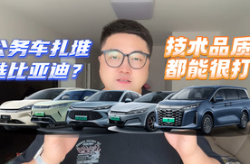 公务车扎堆选比亚迪？技术品质都能很打！
