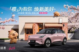 A0级纯电市场扎堆上新 为何60万用户独选吉利星愿？