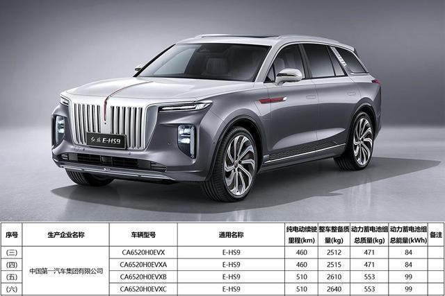 红旗旗舰SUV，E-HS9开启预售，Model X也不香了！