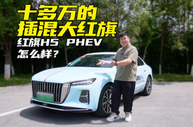 十多万的插混大红旗，空间不错德味驾控，能买吗？