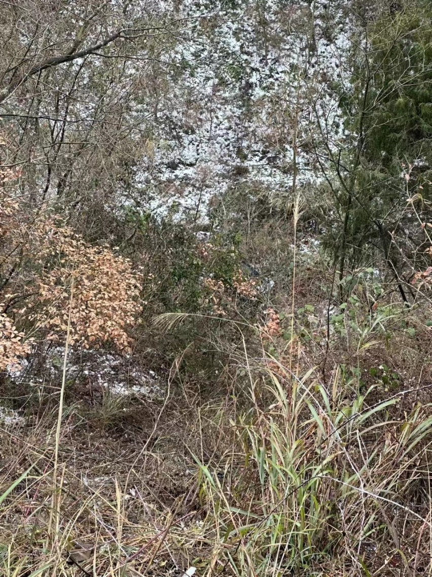 车辆跌入 60 米悬崖 我与领克 08 经历生死考验