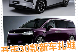 开年30款新车扎堆！新能源占8成