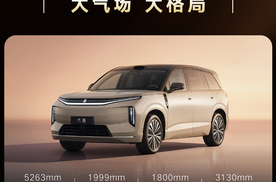 30万预算购全尺寸SUV：大唐EV实测3.9秒破百带双腔空悬
