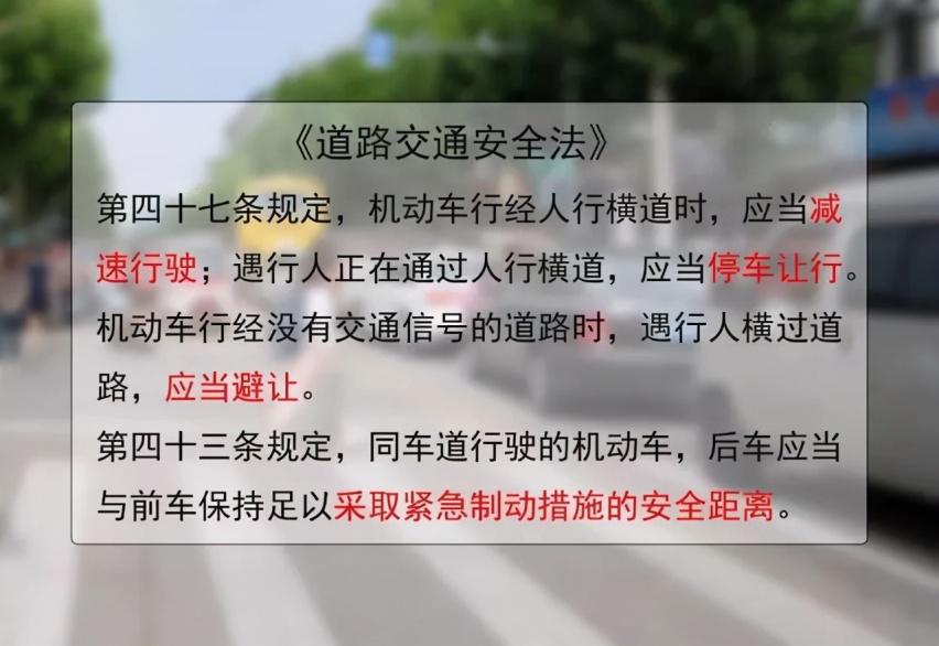 过斑马线需谨慎，别让“礼让行人抓拍”成为“出行噩梦”