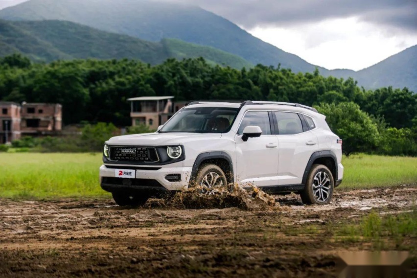 15万预算还想买后桥带锁的SUV？我提了这台同级唯一之选