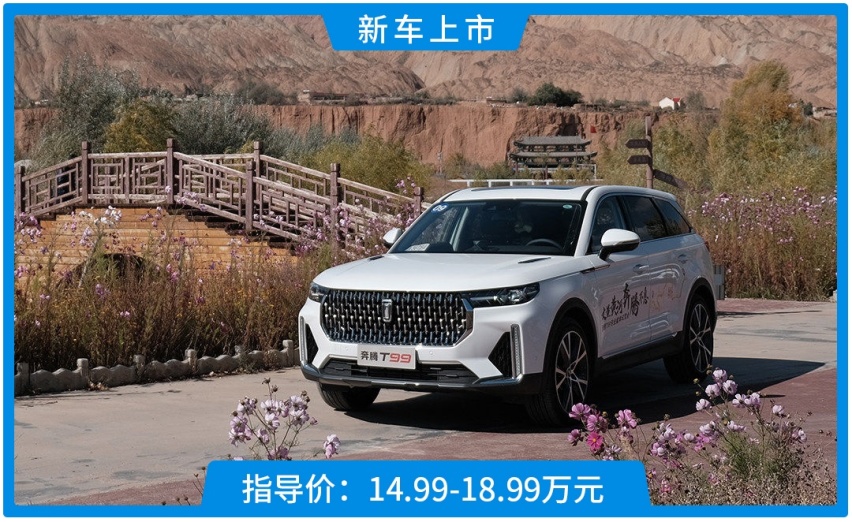 终身免费基础保养！4米8国产SUV上市，14.99万起