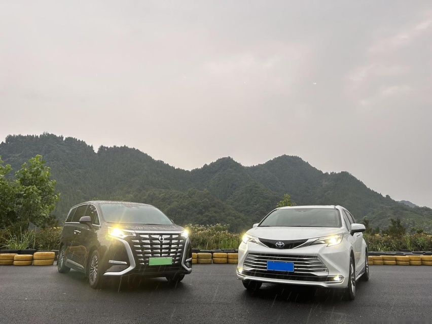 顶流奶爸MPV，赛那VS腾势D9主动刹车实测
