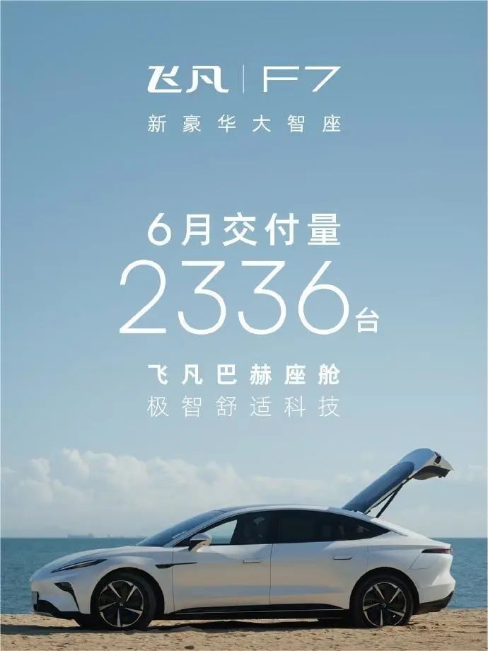 双雄势头不减 整体市场扩张 可视化数据看6月新能源汽车销量