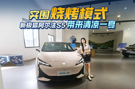 突围烧烤模式，新极狐阿尔法S5带来清凉一夏