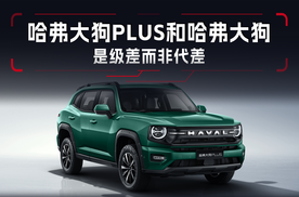 哈弗大狗PLUS和哈弗大狗，是级差而非代差