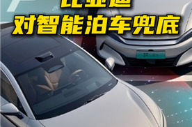 比亚迪宣布对智能泊车全面兜底！