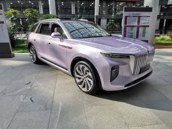 紫色红旗E-HS9、红旗H9加长版曝光，气质拿捏得死死的