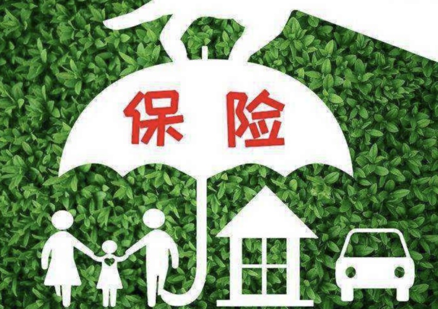 新能源保险上涨，车主叫苦成热搜，真的涨了吗？