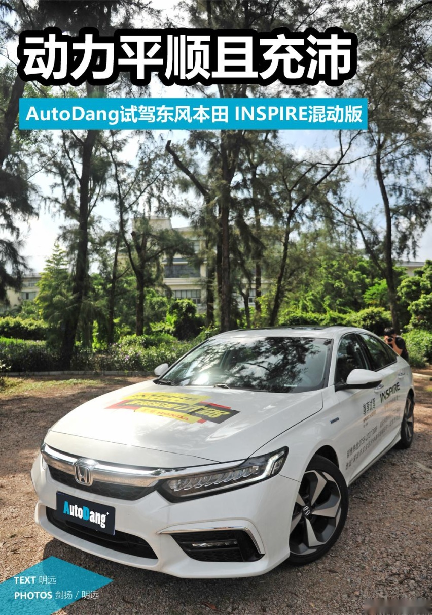 autodang竖向头图.jpg
